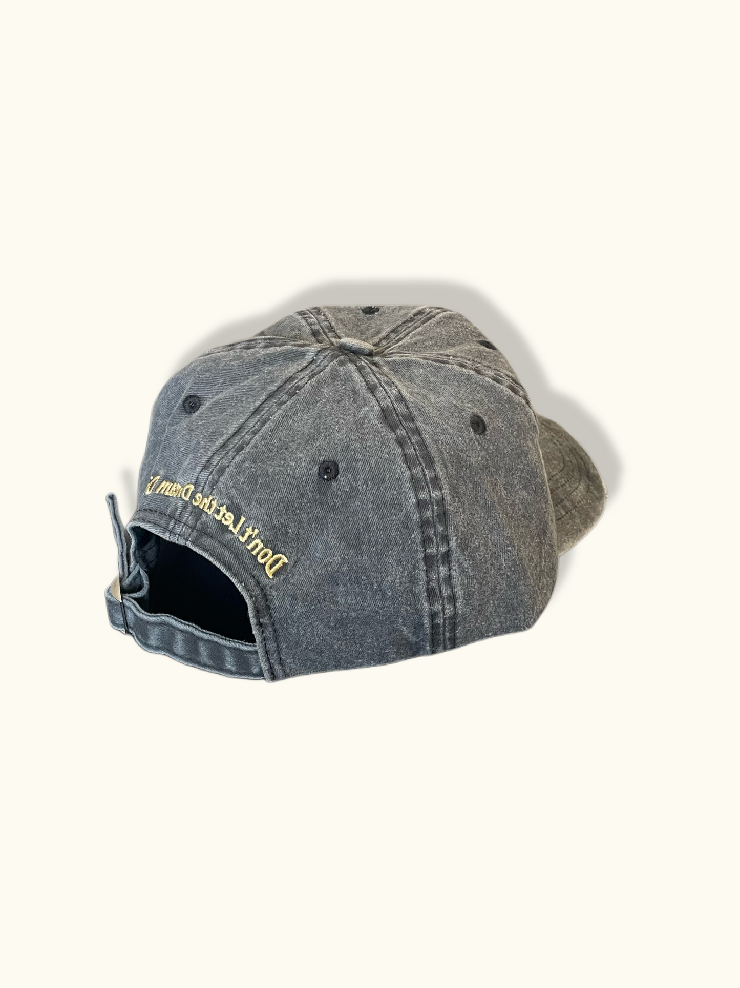 WiseGuy Distressed Dad Hat