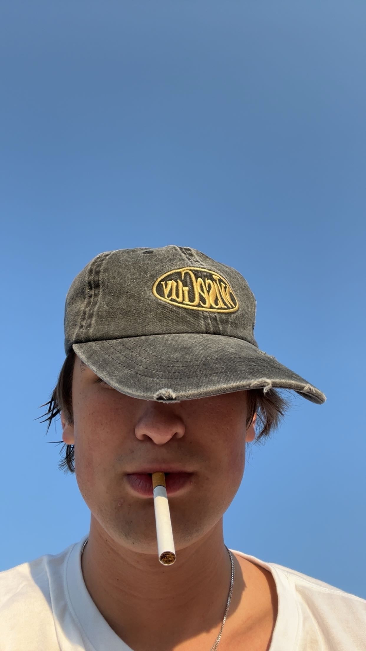 WiseGuy Distressed Dad Hat